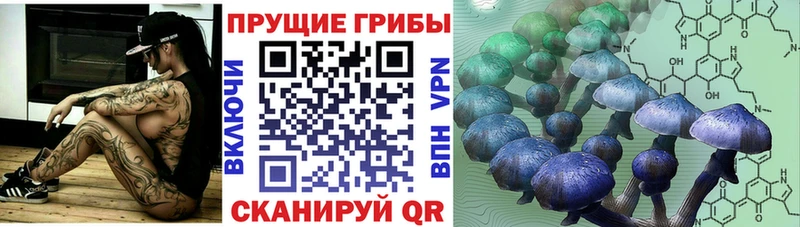 гидра сайт  Шадринск  Псилоцибиновые грибы мухоморы 
